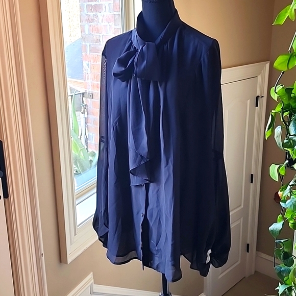 DG2 by Diane Gilman Tops - Diane Gilman sheer black blouse with tie neck